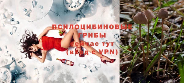 герыч Каменка
