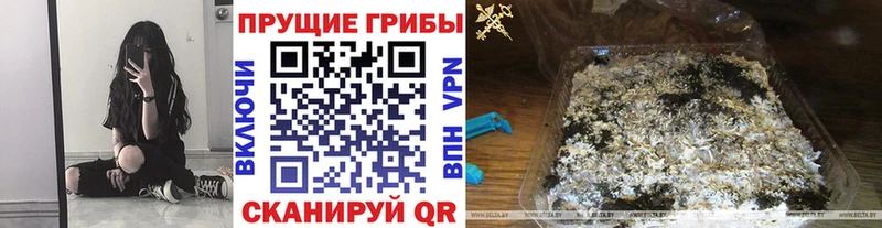 Галлюциногенные грибы MAGIC MUSHROOMS  Купить закладки  Фролово 