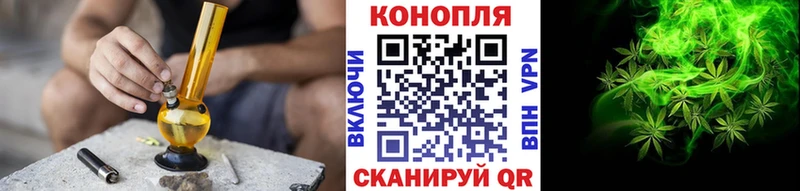 Купить закладки  Фролово  Канабис White Widow 